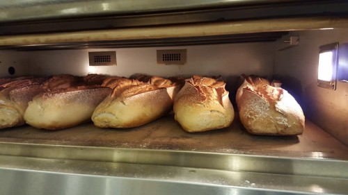 Piec piekarniczy modułowy ME 800-4.jpg