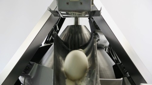 SMQ10_0001_Layer 4.jpg