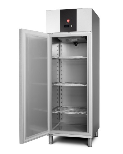 RQSEGC 700 L Szafa mroźnicza stal z powłoką aluminiowo-cynkową (2).jpg